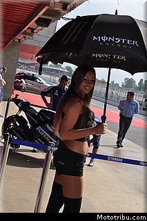 motogp_pitbabe_26_catalogne_montmelo_2011.JPG