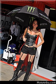 motogp_pitbabe_28_catalogne_montmelo_2011.JPG