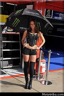 motogp_pitbabe_29_catalogne_montmelo_2011.JPG