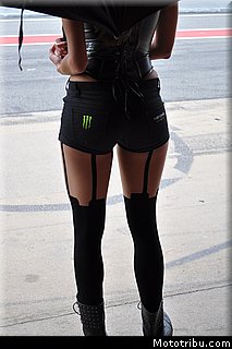motogp_pitbabe_51_catalogne_montmelo_2011.JPG