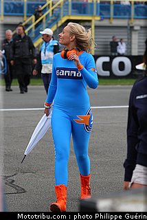 motogp_pitbabes_21_pays_bas_assen_2011.JPG