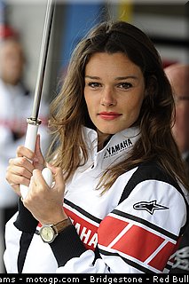 motogp_pitbabes_34_pays_bas_assen_2011.jpg