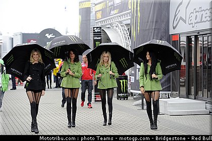 motogp_pitbabes_36_pays_bas_assen_2011.jpg