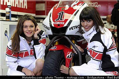 motogp_pitbabes_37_pays_bas_assen_2011.jpg