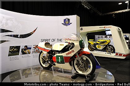 motogp_yamaha_cinquantenaire_06_pays_bas_assen_2011.jpg