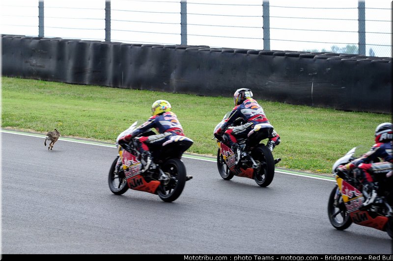 red_bull_rookie_cup_0018_italie_mugello_2011