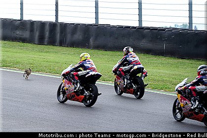 red_bull_rookie_cup_0018_italie_mugello_2011.jpg