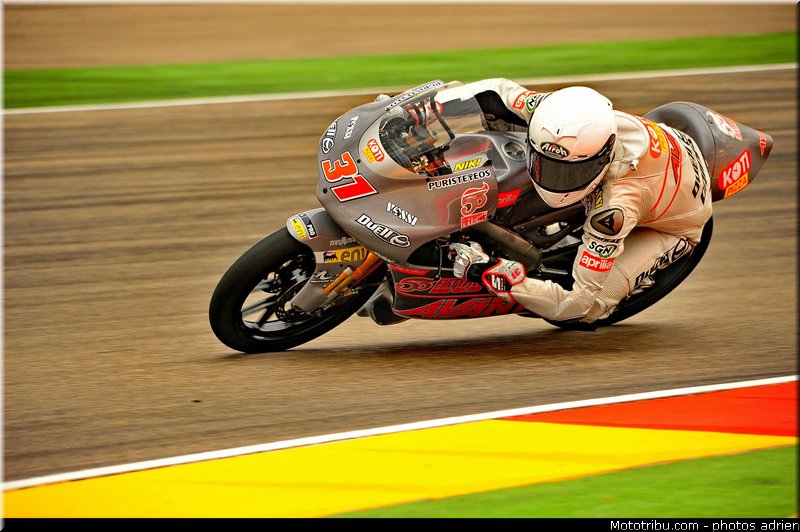 125_ajo_001_espagne_aragon_2011