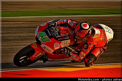 125_oliveira_003_espagne_aragon_2011.jpg