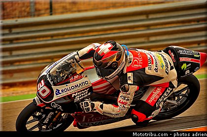 125_pedone_004_espagne_aragon_2011.jpg