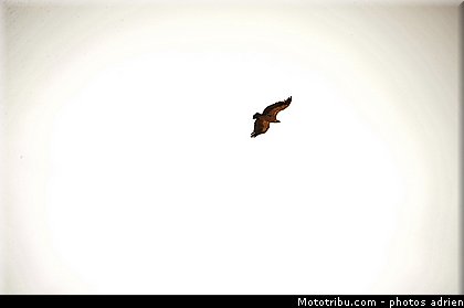 motogp_ambiance_009_espagne_aragon_2011.jpg