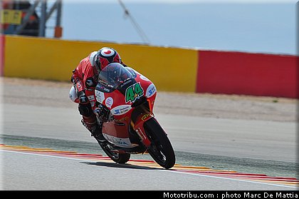 125_oliveira_001_espagne_aragon_2011.jpg