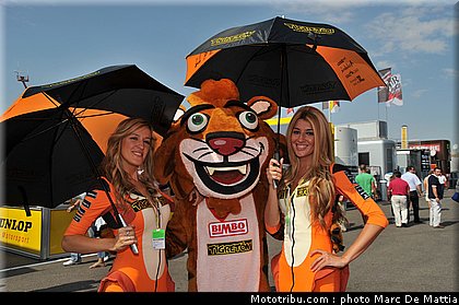 motogp_pitbabe_005_espagne_aragon_2011.jpg