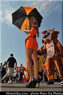 motogp_pitbabe_010_espagne_aragon_2011.jpg