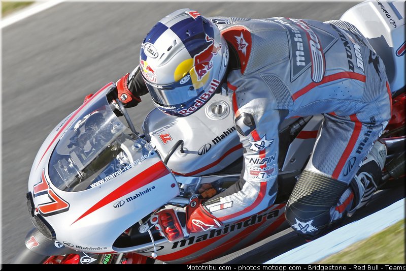 125_schrotter_002_australie_philip_island_2011