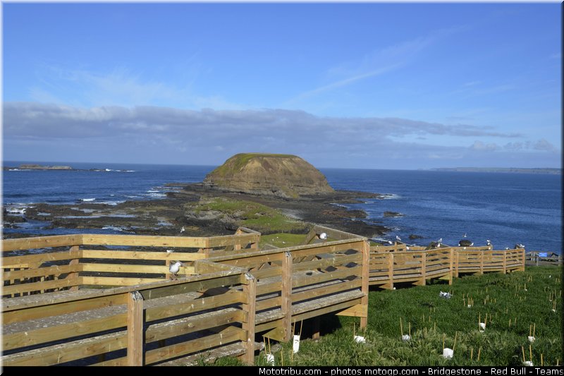 motogp_ambiance_012_australie_philip_island_2011