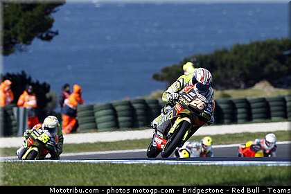 125_martin_005_australie_philip_island_2011.jpg
