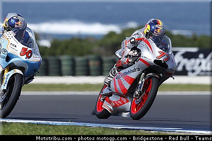 125_schrotter_003_australie_philip_island_2011.jpg