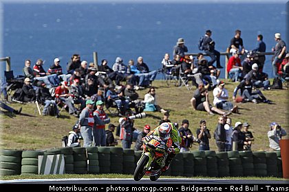 125_terol_005_australie_philip_island_2011.jpg