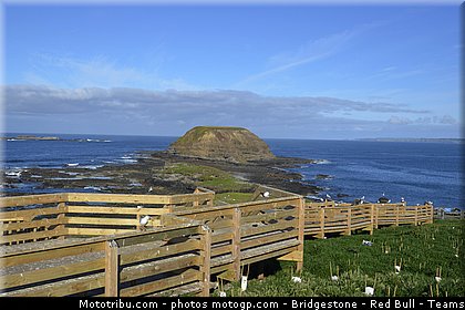 motogp_ambiance_012_australie_philip_island_2011.jpg