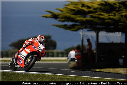 motogp_hayden_007_australie_philip_island_2011.jpg