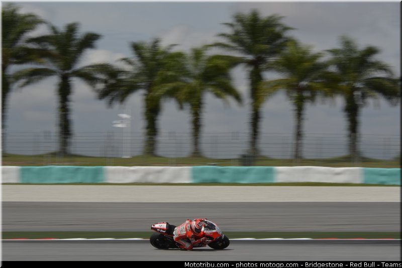 motogp_hayden_002_malaisie_sepang_2011