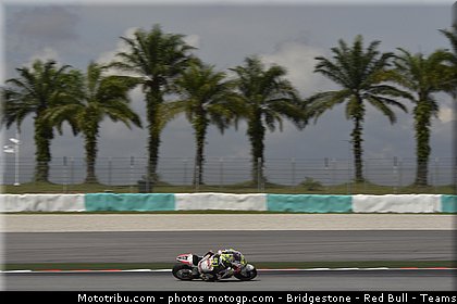 motogp_elias_014_malaisie_sepang_2011.jpg