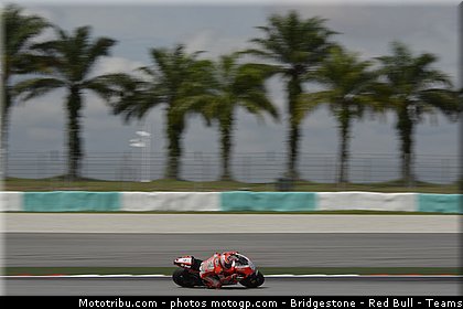 motogp_hayden_002_malaisie_sepang_2011.jpg