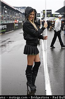 motogp_pitbabe_0051_france_le_mans_2012.jpg