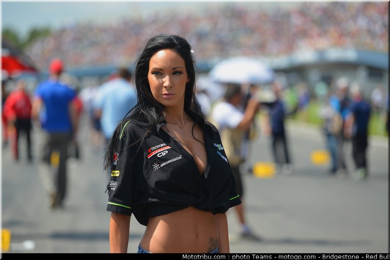 motogp_pitbabe_0022_pays_bas_assen_2012
