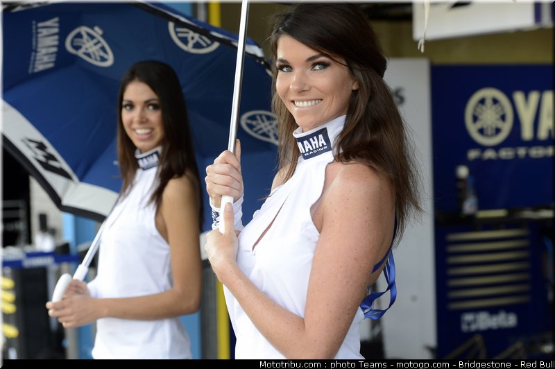 motogp_pitbabe_0047_pays_bas_assen_2012