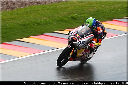 red_bull_motogp_rookie_cup_albert_0001_allemagne_sachsenring_2012.jpg