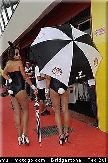 motogp_pitbabe_0011_italie_mugello_2012.jpg