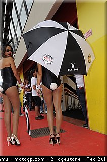motogp_pitbabe_0015_italie_mugello_2012.jpg