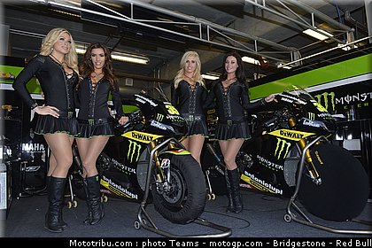 pitbabe_029_motogp_2012_usa_laguna_seca.jpg