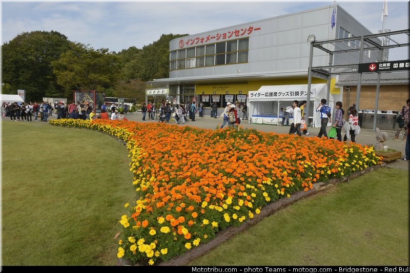 motogp_ambiance_0022_japon_motegi_2012