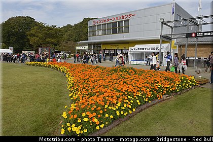 motogp_ambiance_0022_japon_motegi_2012.jpg