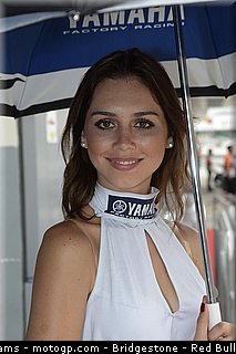 motogp_pitbabe_0019_malaisie_sepang_2012.jpg