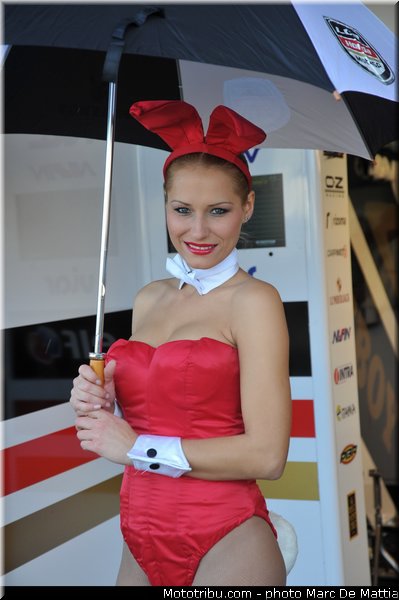 motogp_pitbabe_019_valencia_2012