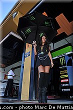 motogp_pitbabe_017_valencia_2012.jpg