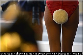 motogp_pitbabe_012_valencia_2012.jpg