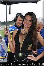 motogp_pitbabe_015_valencia_2012.jpg