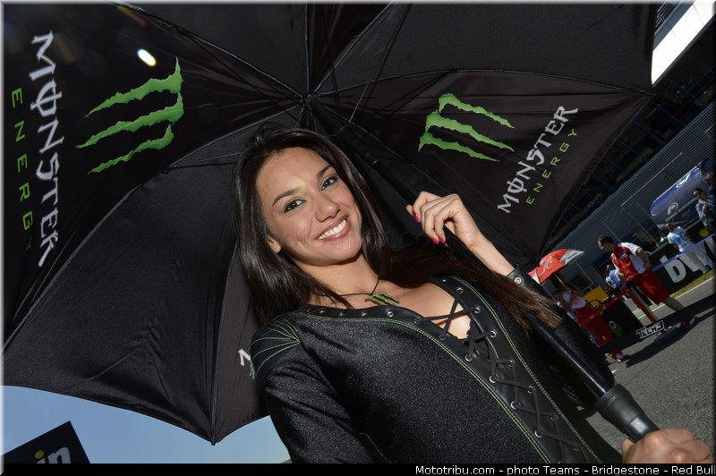 motogp_pitbabe_014_espagne_jerez_2013