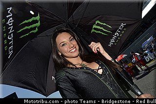 motogp_pitbabe_014_espagne_jerez_2013.jpg