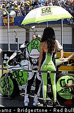 motogp_pitbabe_035_espagne_jerez_2013.jpg
