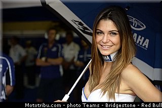 motogp_pitbabe_028_catalogne_montmelo_2013.jpg