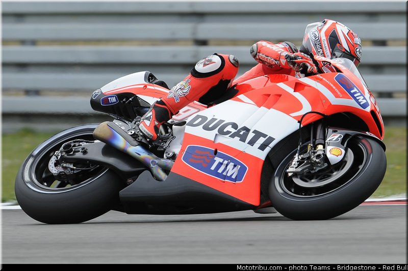 motogp_hayden_002_pays_bas_assen_2013