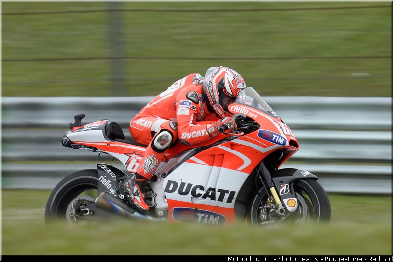motogp_hayden_023_pays_bas_assen_2013