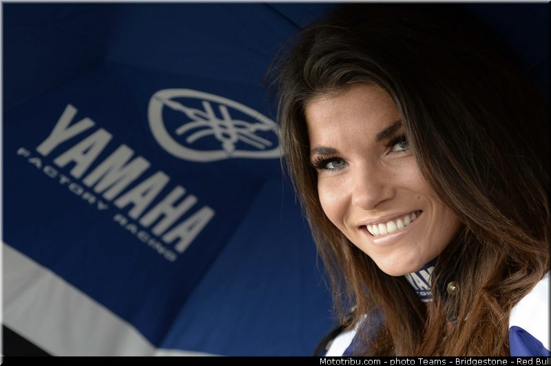 motogp_pitbabe_029_pays_bas_assen_2013