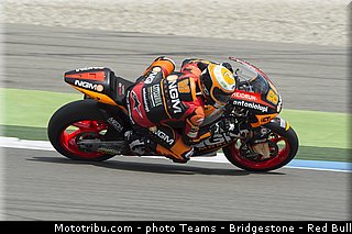 moto2_cardus_002_pays_bas_assen_2013.jpg